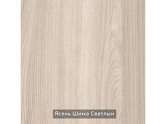 Шкаф-купе без зеркала Ольга-10.1 шимо светлый-венге